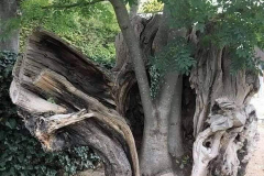 40F80B17-CA3A-4829-9BF5-153CEF0EE2F9